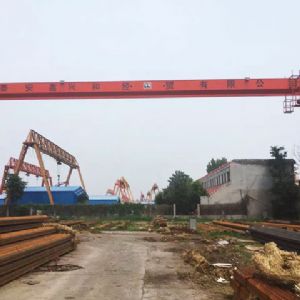 L型電動(dòng)葫蘆門式起重機(jī)