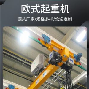 歐式雙梁起重機(jī)